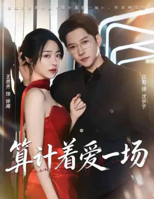 算计着爱一场（81集全）白羽＆王思齐-初遇资源网