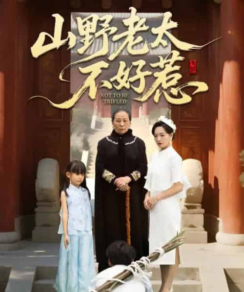 山野老太不好惹&奶奶一脚震全城(64集全)徐绍航-初遇资源网