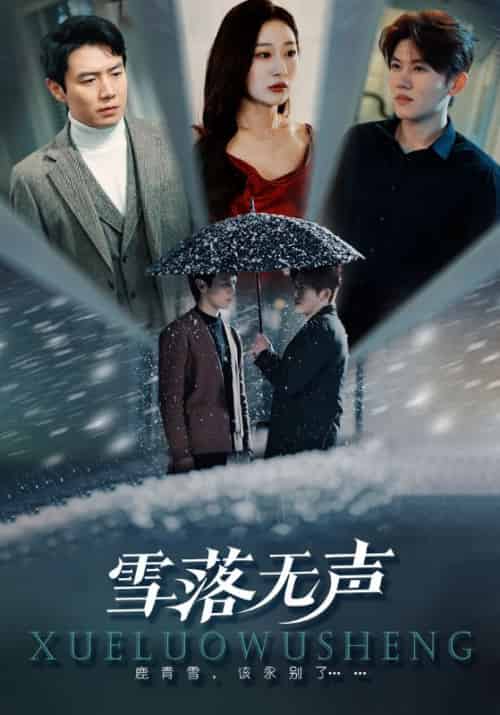 雪落无声(51集全)段禁城&鹿青雪-初遇资源网