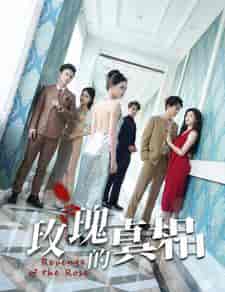 玫瑰的真相(75集)-初遇资源网