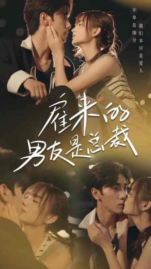 雇来的男友是总裁（50集全）-初遇资源网