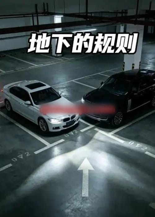 地下的规则（20集全）AI短剧-初遇资源网