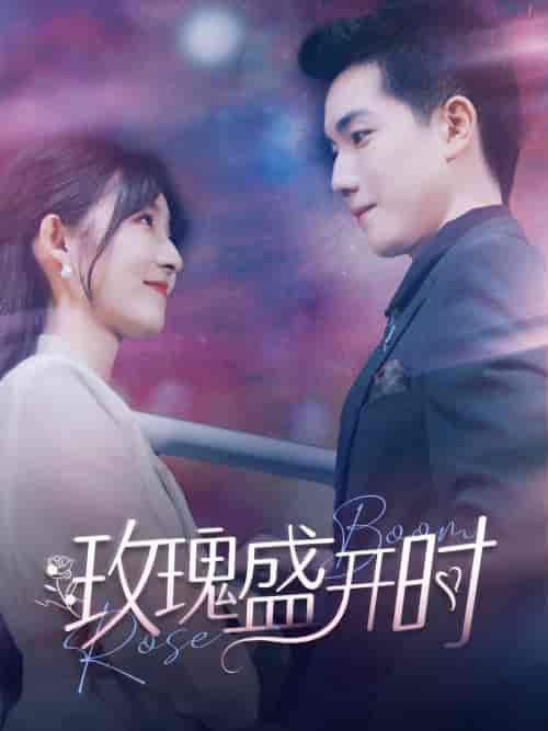 玫瑰盛开时（81集）-初遇资源网