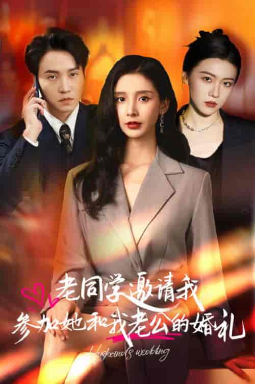 老同学邀请我参加她和我老公的婚礼（33集全）-初遇资源网