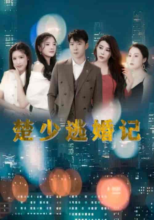 楚少逃婚记(54集全)楚天一&方宛若-初遇资源网