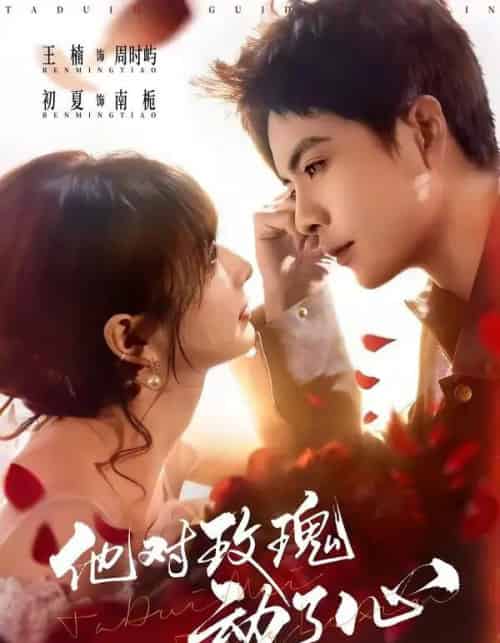 他对玫瑰动了心（68集全）王楠＆初夏 - 夸克短剧