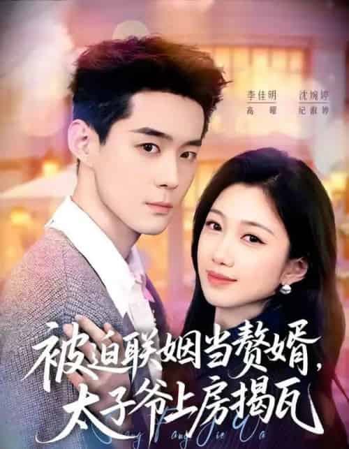 被迫联姻当赘婿,太子爷上房揭瓦(80集全)沈婉婷&李佳明-初遇资源网