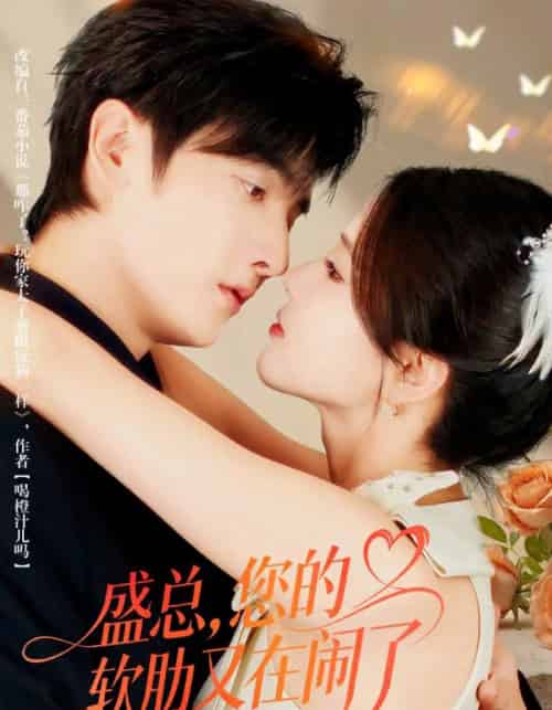 盛总,您的软肋又在闹了 盛总,您的软肋又在闹了