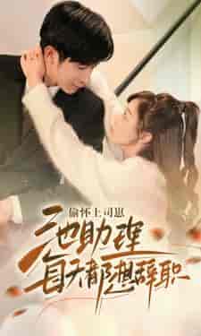 偷怀上司崽池助理每天都想辞职（74集）-初遇资源网