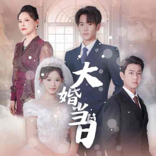 大婚当日（50集）-初遇资源网