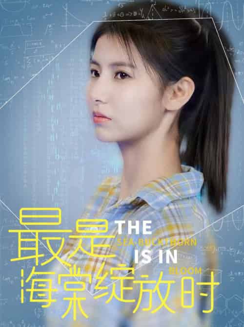 最是海棠绽放时（33集全）邓恒健＆王槿-初遇资源网