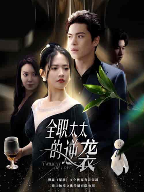 全职太太的逆袭(80集)-初遇资源网