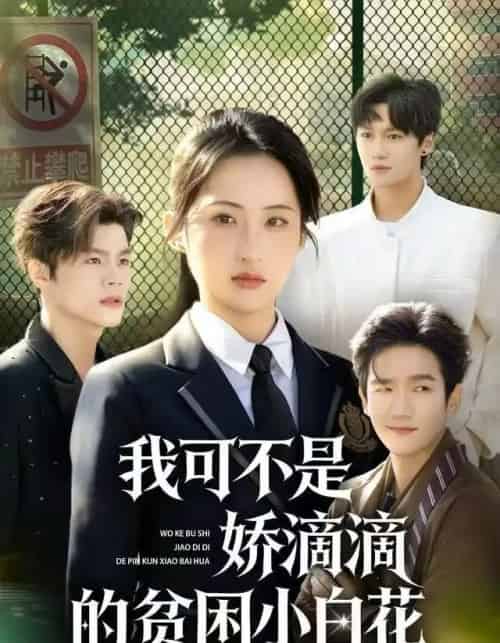 我可不是娇滴滴的贫困小白花（53集全）彭瑞风＆申晴-初遇资源网