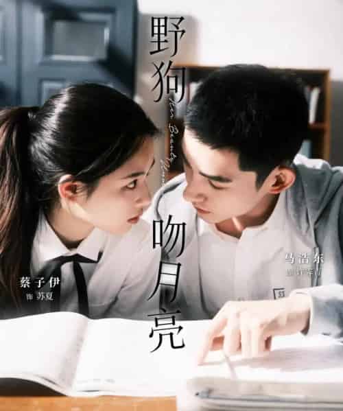 野狗吻月亮(68集)马浩东&蔡子伊-初遇资源网