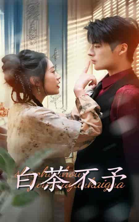 白茶不予（68集全）潘欣懿＆段美洋-初遇资源网