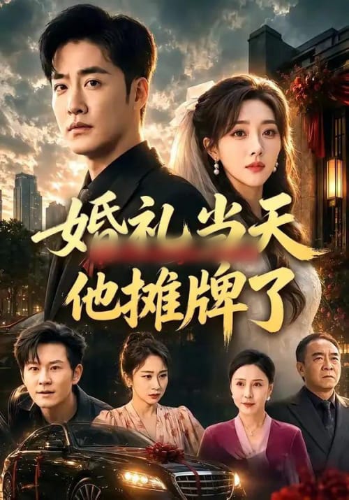 婚礼当天他摊牌了(65集全)李季&张棠-初遇资源网
