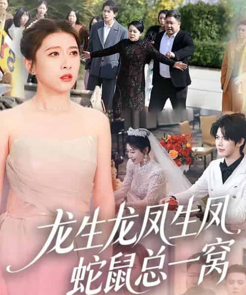 龙生龙凤生凤,蛇鼠总一窝(60集全)曹淼&牛韵暄-初遇资源网