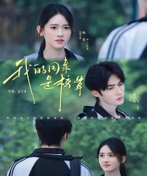 我的同桌是校草(51集全)赐不肉&海星-初遇资源网