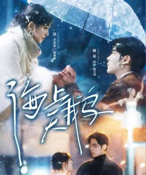 海上天鹅（70集全）陆天玮＆唐幕佳-初遇资源网