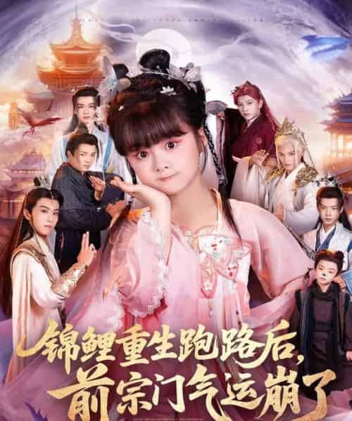 锦鲤重生跑路后前宗门气运崩了（73集全）黄骞＆黄博斯-初遇资源网