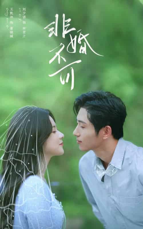 非婚不可（65集全）王凯沐＆刘夕语-初遇资源网