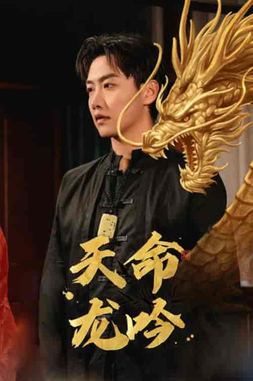 天命龙吟（48集全）-初遇资源网