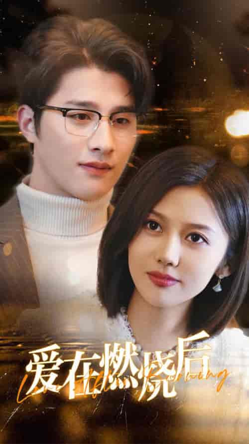 爱在燃烧后（36集全）-初遇资源网