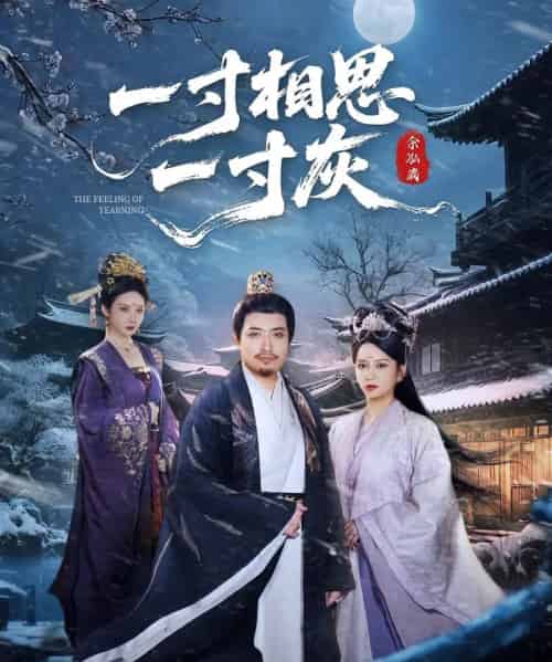 一寸相思一寸灰（60集）-初遇资源网