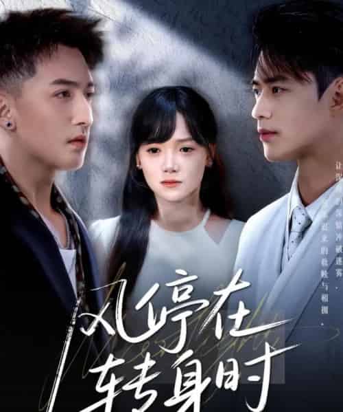 风停在转身时(72集)黄小再&秦远-初遇资源网