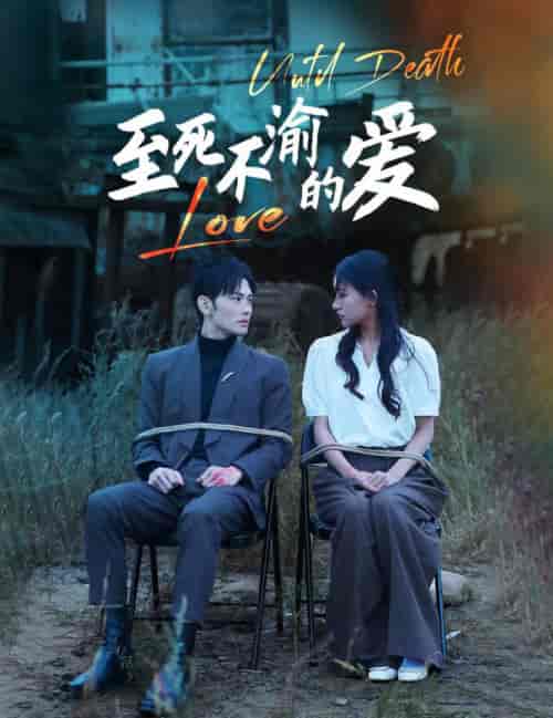至死不渝的爱（80集全）-初遇资源网