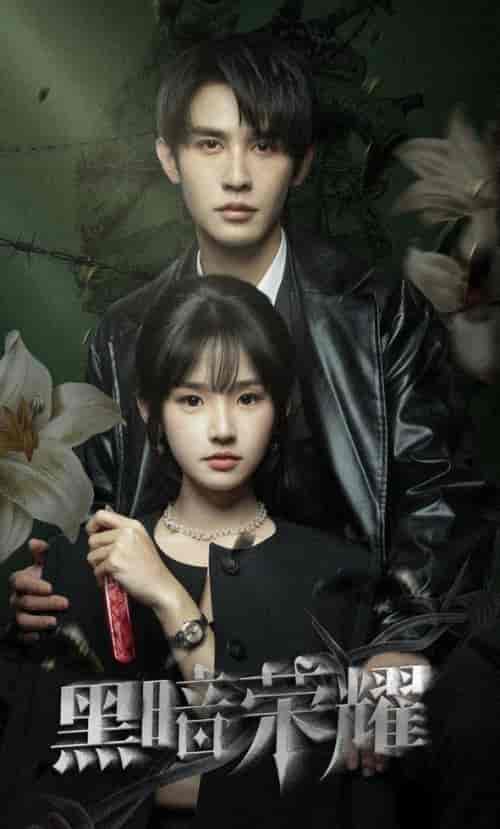 黑暗荣耀(66集全)贾翼萱&申浩男-初遇资源网