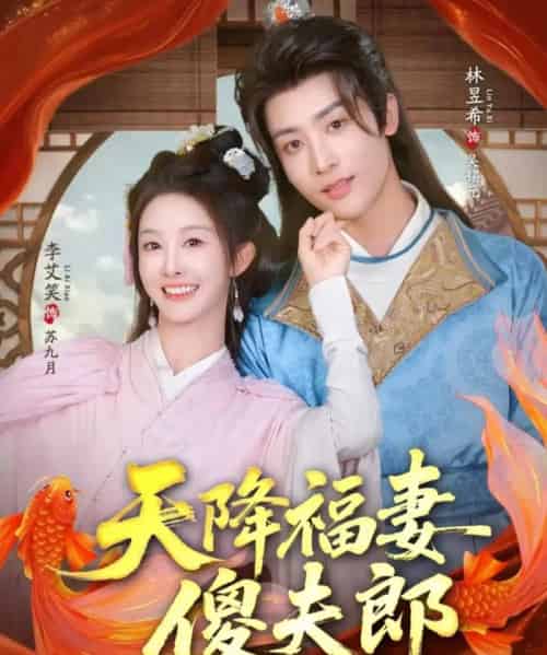 天降福妻傻夫郎（85集全）林昱希＆李艾笑-初遇资源网