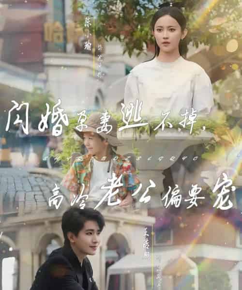 闪婚孕妻逃不掉,高冷老公偏要宠(78集)王浩翔&陈小瑜-初遇资源网