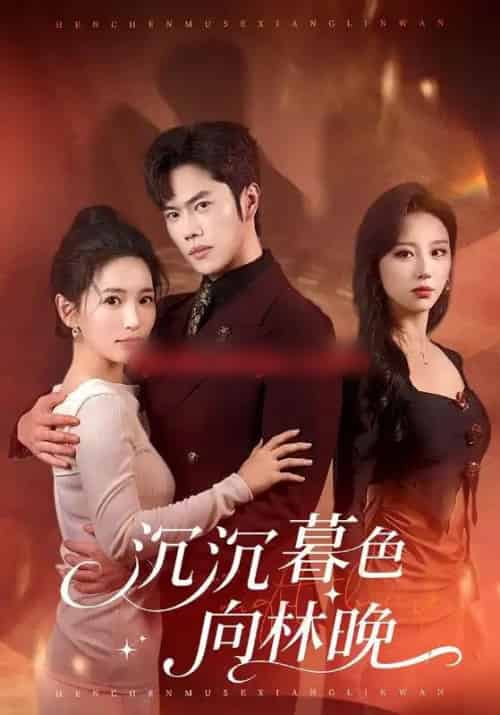 沉沉暮色向林晚（60集全）聂子轩＆李雪莹-初遇资源网