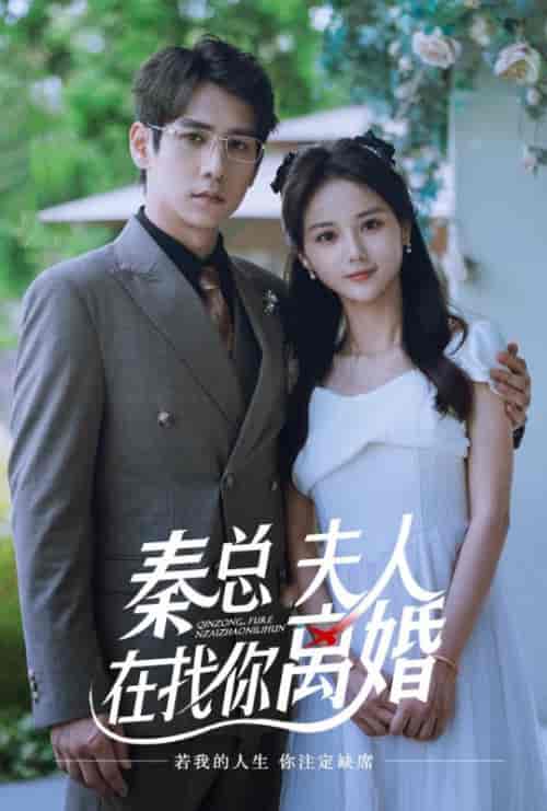 秦总夫人在找你离婚(79集全)秦沐川&马倩倩-初遇资源网