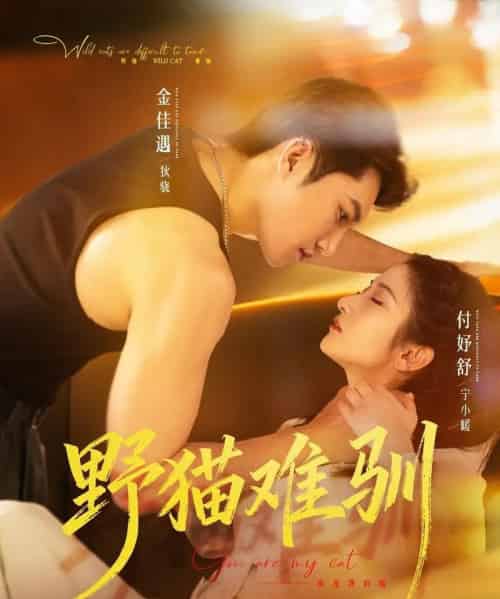 野猫难驯（73集全）金佳遇＆付妤舒-初遇资源网