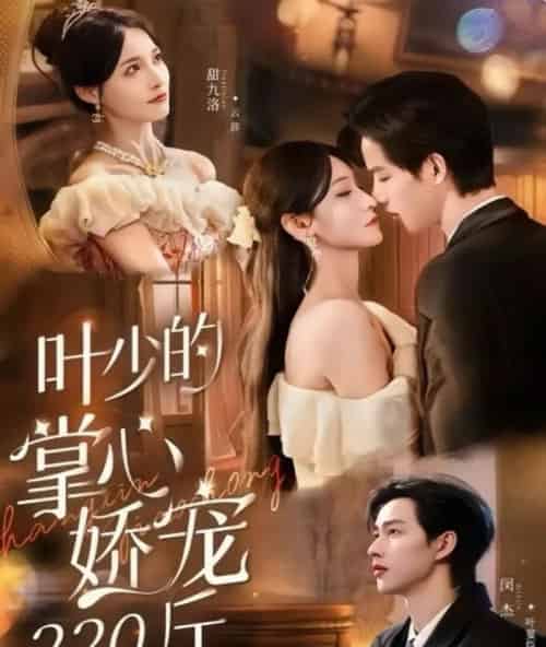 叶少的掌心娇宠220斤(69集全)闵杰&甜九洛-初遇资源网