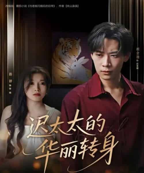 迟太太的华丽转身（80集全）胡金池＆路婷-初遇资源网