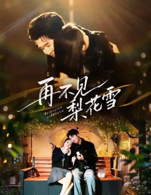 再不见梨花雪&问夏碎梦(70集全)王裕博&陈酉昔-初遇资源网
