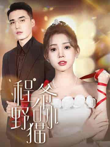 程爷的小野猫（40集）-初遇资源网