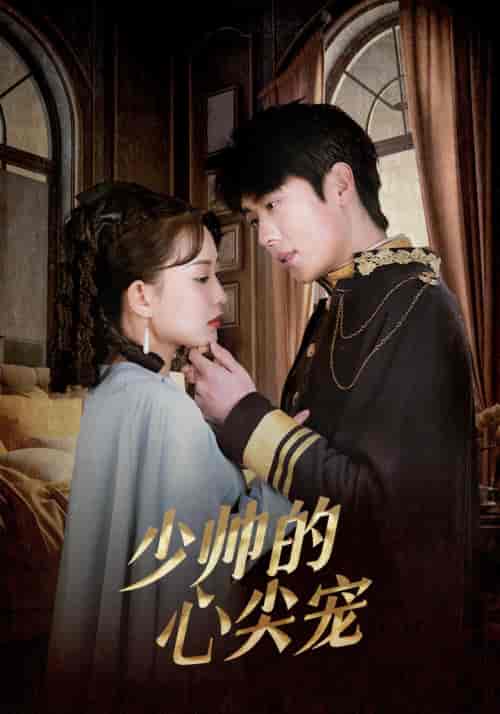 少帅的心尖宠(85集)-初遇资源网