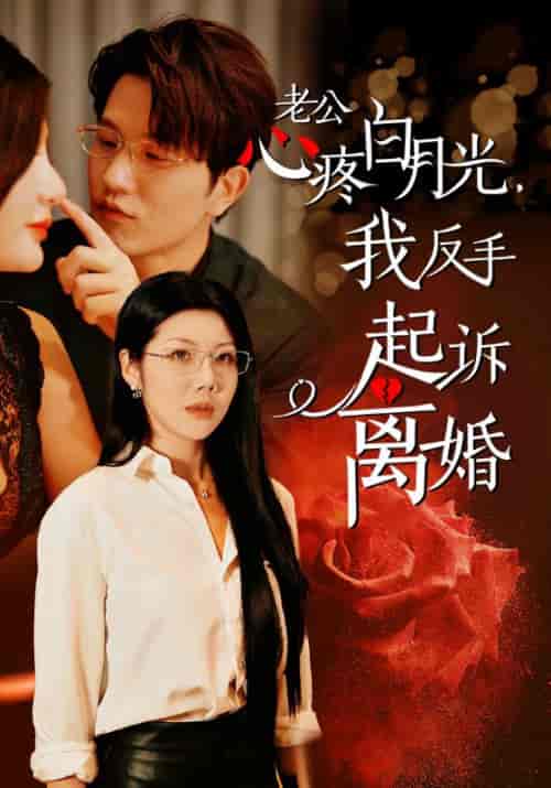 老公心疼白月光，我反手起诉离婚（42集全）赵以深＆顾景瑶-初遇资源网