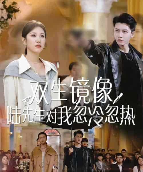 双生镜像陆先生对我忽冷忽热（61集）-初遇资源网