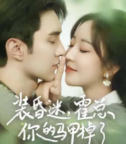 装昏迷，霍总你的马甲掉了（80集全）希尔力＆彭丹丹-初遇资源网