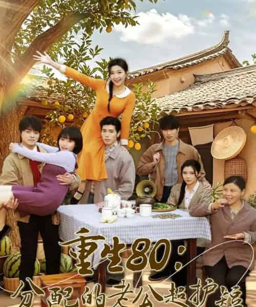 重生80：分配的老公超护短（66集全）庞博＆刘静阳-初遇资源网