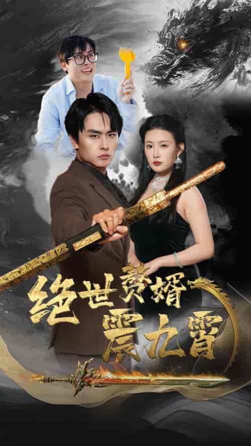 绝世赘婿震九州（78集）-初遇资源网