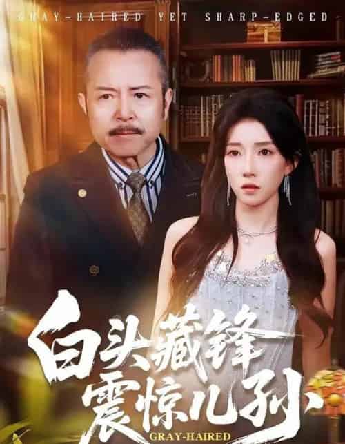 白头藏锋震惊儿孙（65集全）孟岳＆李百万-初遇资源网