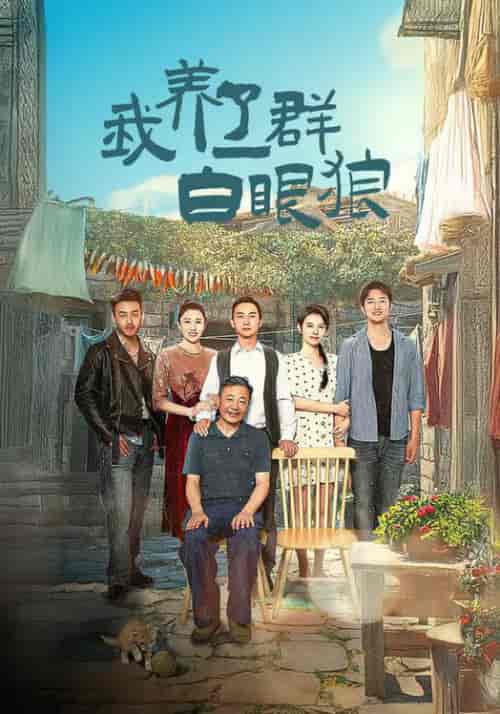 我养了一群白眼狼&家家有本难念的经(34集全)-初遇资源网