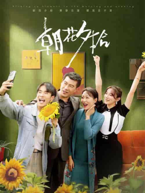 朝花夕拾(50集全)马铭婕-初遇资源网