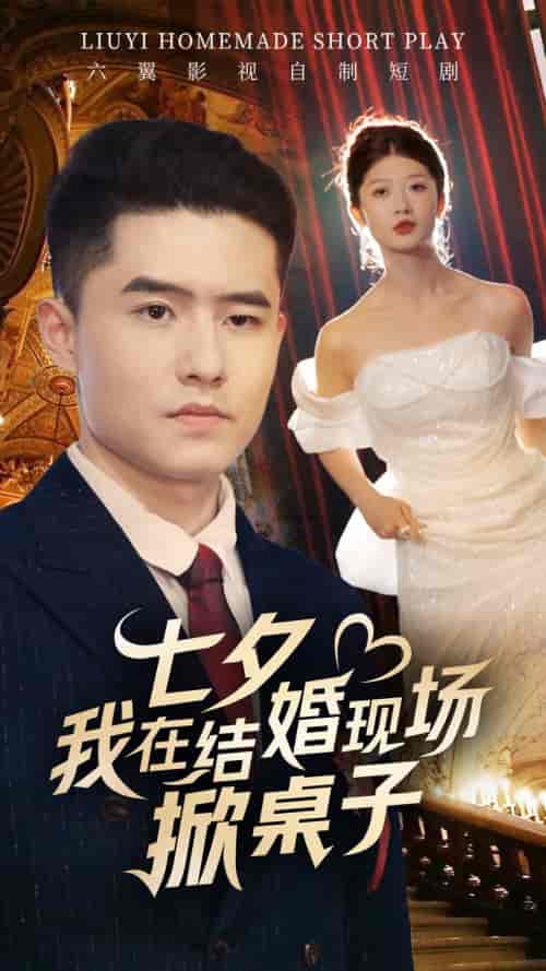 七夕我在结婚现场掀桌子（81集）-初遇资源网